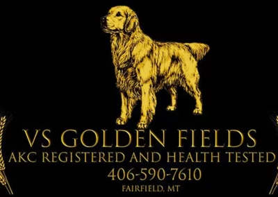 logo 1080